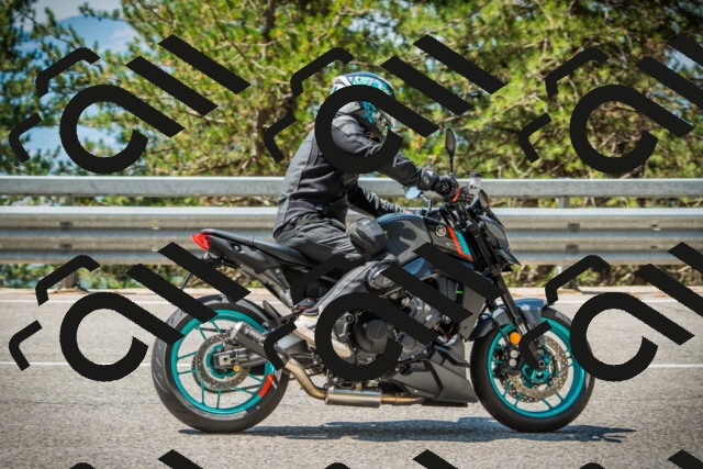 202508101132-DSC06451_c1_