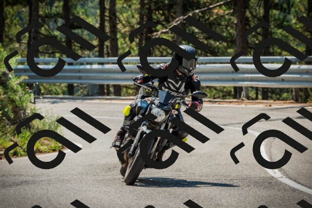 202508101134-DSC06474_c1_