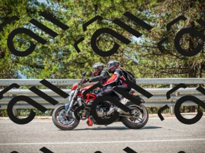 202508101135-DSC06500_c1_