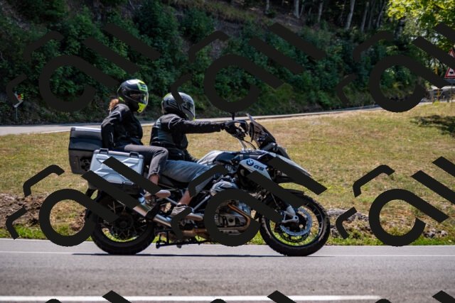 202508101259-_DSC2938_d2_