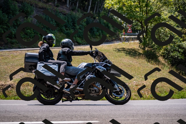 202508101259-_DSC2939_d2_