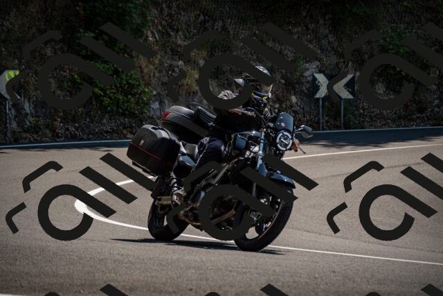 202508101301-_DSC2942_d2_