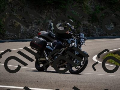 202508101301-_DSC2943_d2_