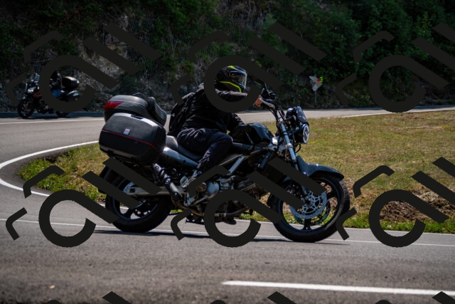 202508101301-_DSC2944_d2_