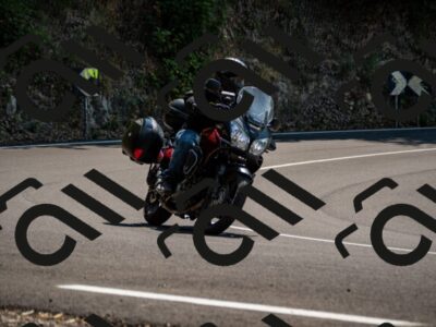 202508101301-_DSC2945_d2_