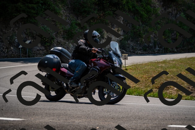 202508101301-_DSC2946_d2_