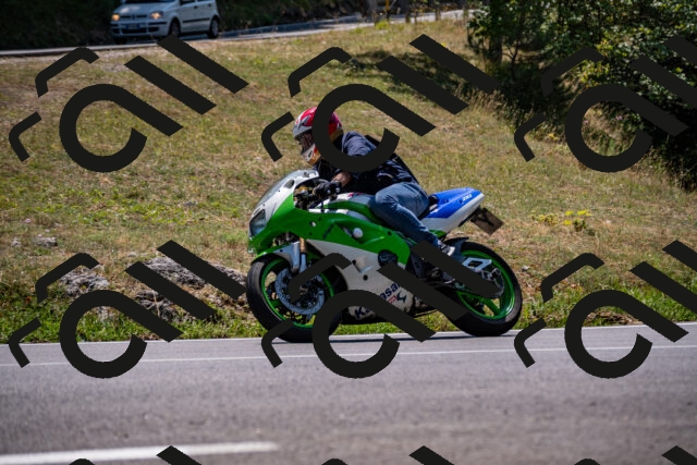 202508101302-_DSC2955_d2_