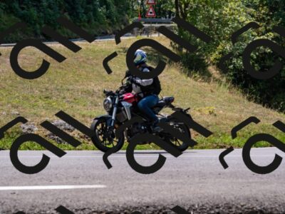 202508101305-_DSC2970_d2_