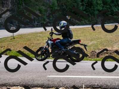 202508101305-_DSC2971_d2_