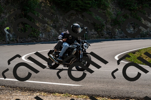 202508101305-_DSC2973_d2_