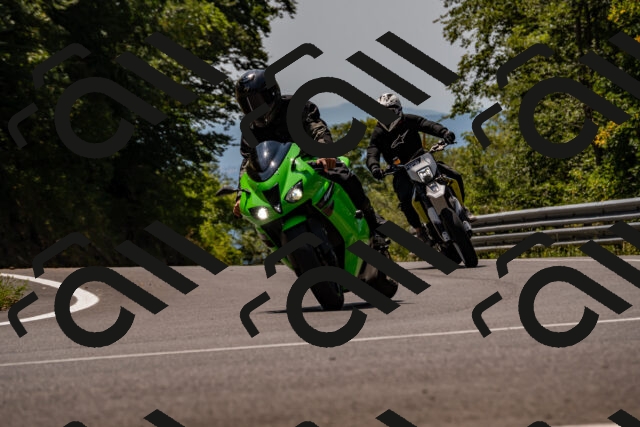 202508101307-_DSC2984_d2_