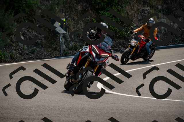 202508101314-_DSC3020_d2_