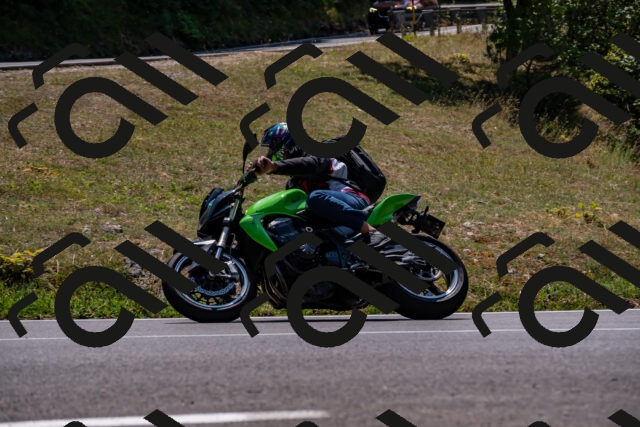 202508101317-_DSC3036_d2_