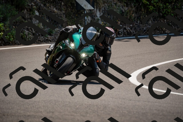 202508101318-_DSC3045_d2_