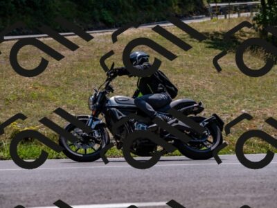 202508101318-_DSC3055_d2_