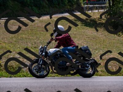 202508101321-_DSC3065_d2_