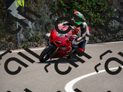 202508101351-_DSC3188_d2_