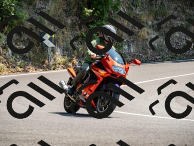 202508101358-_DSC3222_d2_