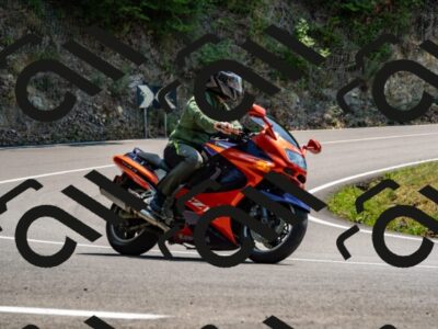 202508101358-_DSC3223_d2_