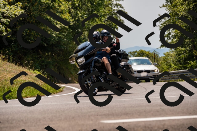 202508101402-_DSC3250_d2_