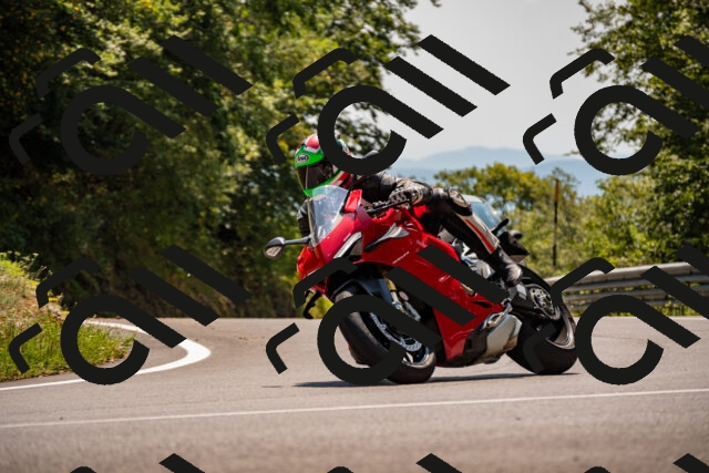 202508101404-_DSC3254_d2_