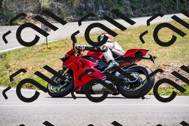 202508101404-_DSC3258_d2_