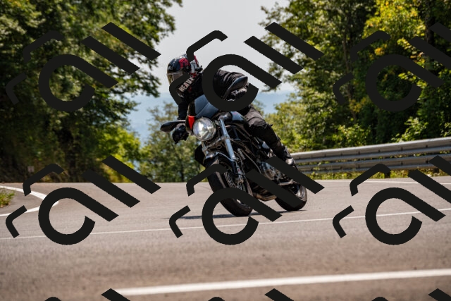 202508101406-_DSC3264_d2_