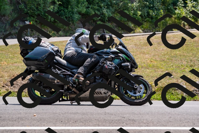 202508101408-_DSC3271_d2_