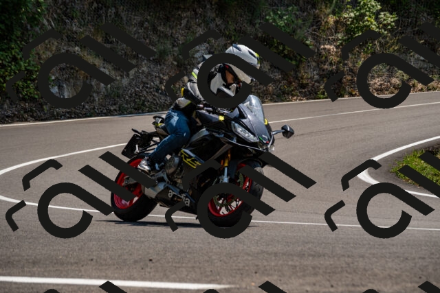 202508101410-_DSC3281_d2_