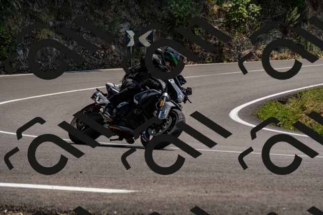 202508101410-_DSC3285_d2_