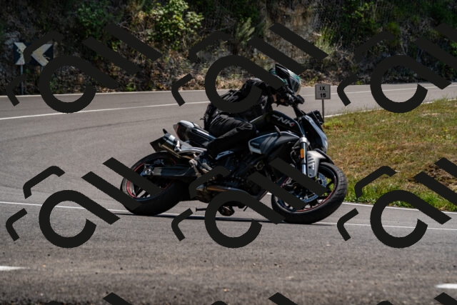 202508101410-_DSC3286_d2_