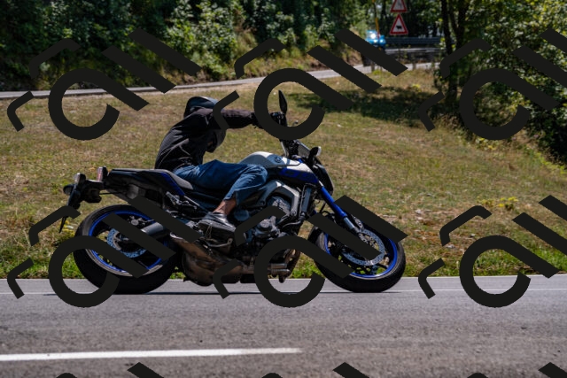 202508101410-_DSC3288_d2_