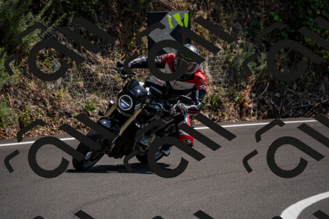 202508101415-_DSC3293_d2_