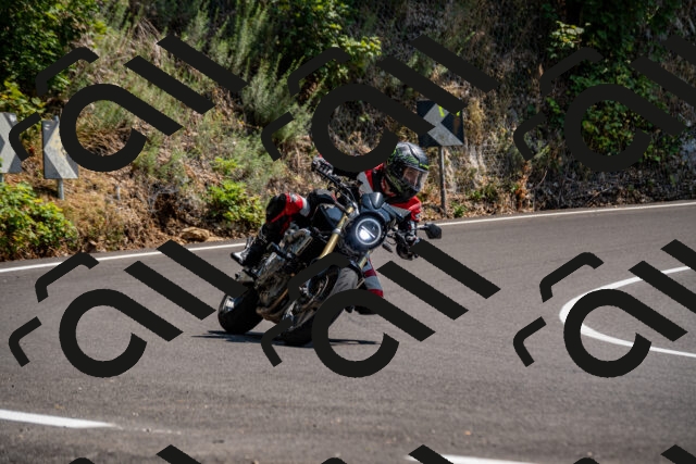 202508101415-_DSC3294_d2_