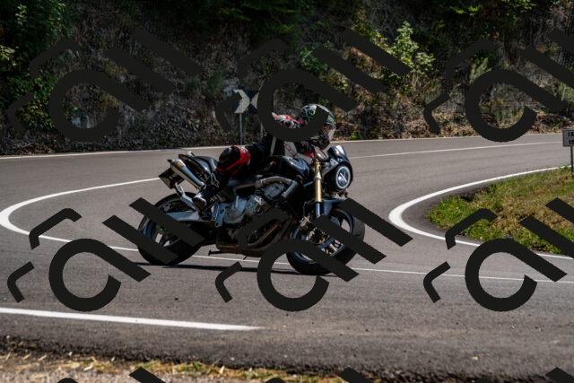 202508101415-_DSC3295_d2_