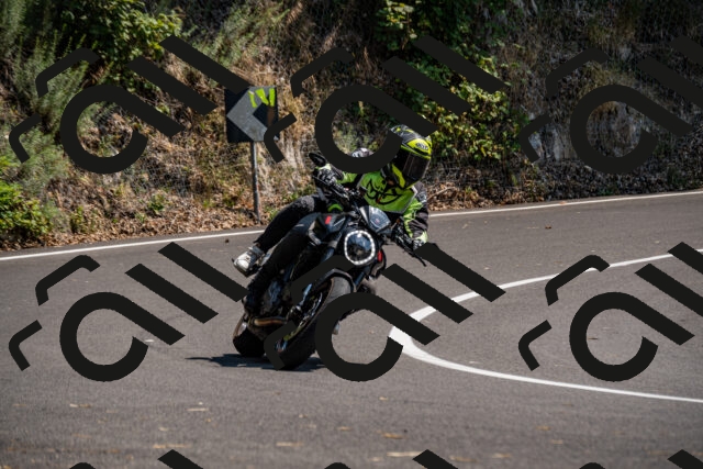 202508101428-_DSC3341_d2_