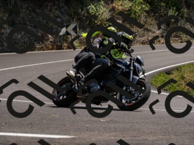 202508101428-_DSC3342_d2_