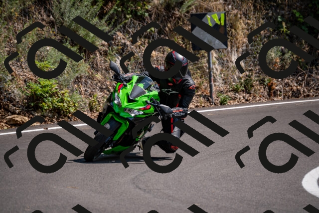 202508101433-_DSC3356_d2_