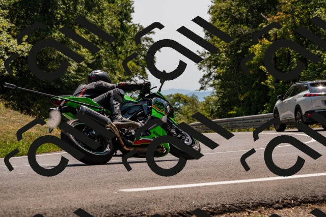 202508101433-_DSC3359_d2_