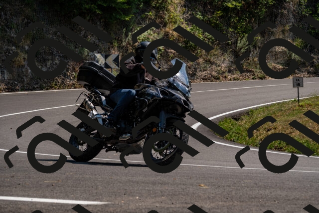 202508101434-_DSC3362_d2_