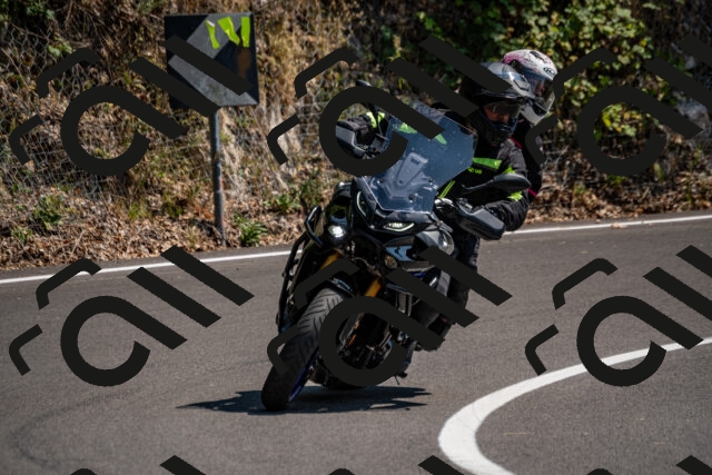 202508101436-_DSC3369_d2_