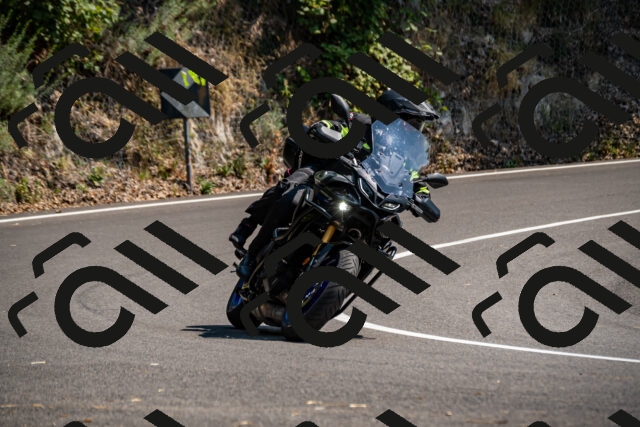 202508101436-_DSC3370_d2_