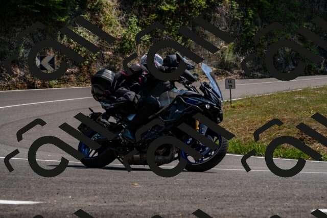 202508101436-_DSC3371_d2_