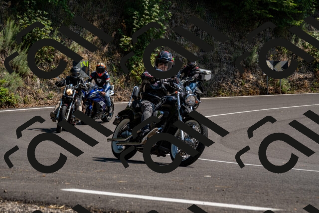 202508101438-_DSC3374_d2_