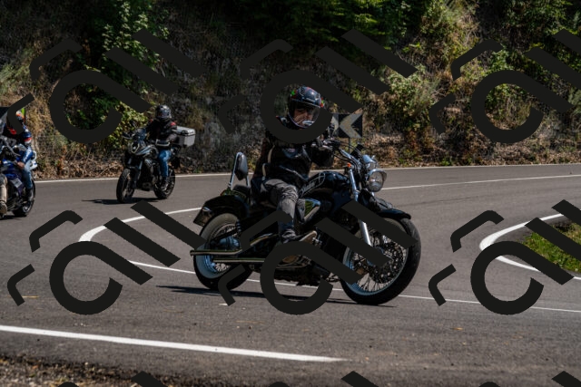 202508101438-_DSC3375_d2_