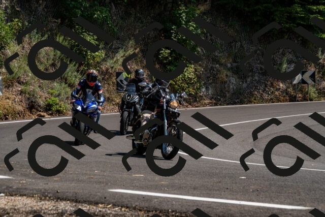 202508101438-_DSC3376_d2_