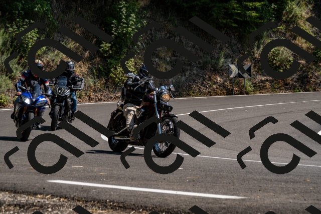 202508101438-_DSC3377_d2_