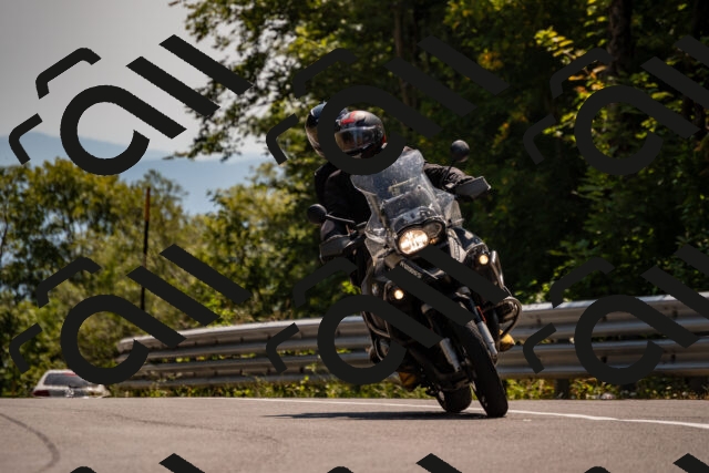 202508101439-_DSC3382_d2_