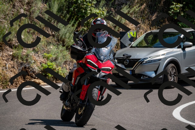 202508101440-_DSC3385_d2_