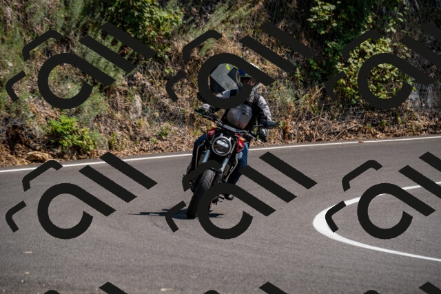 202508101442-_DSC3390_d2_